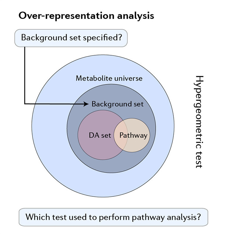 metabo-environ.jpg