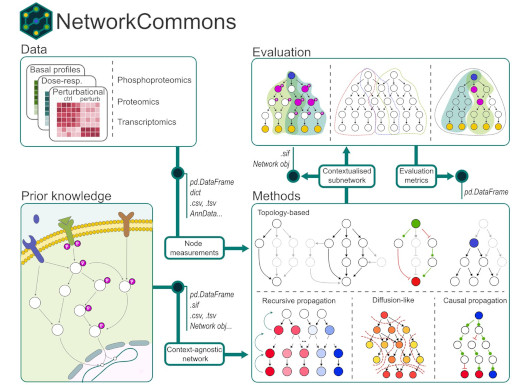 networkcommons.jpg